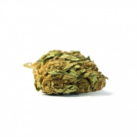 CBD Flores - CALIFORNIA DREAM - 5 gramas