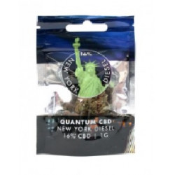 CBD Flores - NEW YORK DIESEL - CBD 16% - 1 grama