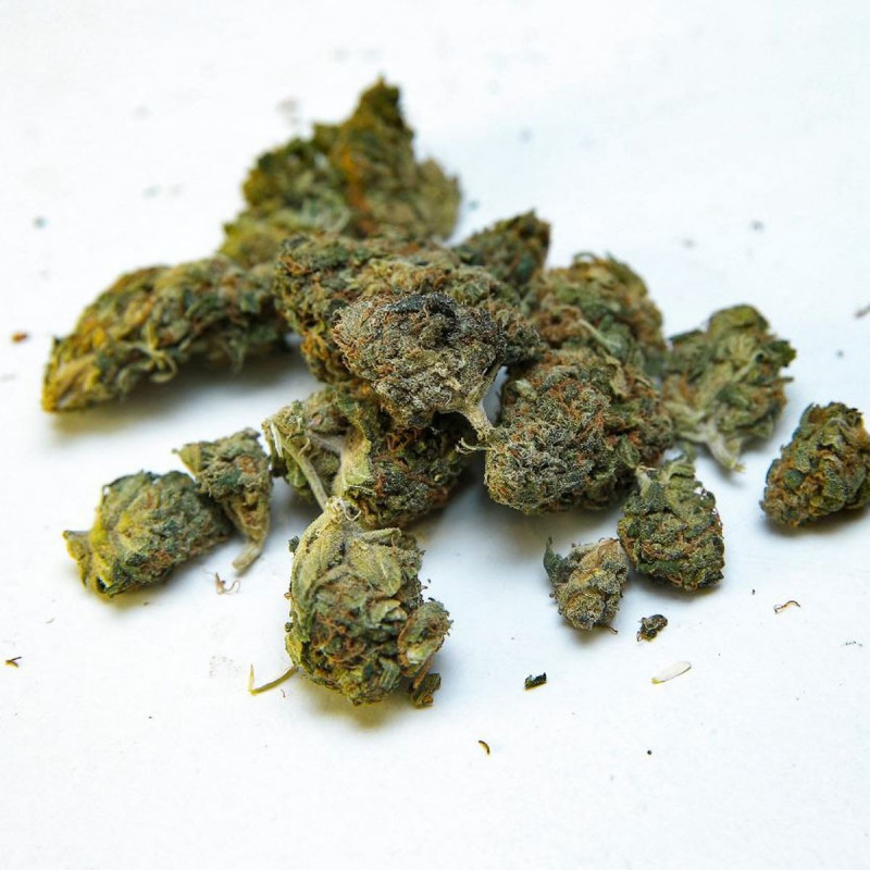 CBD Flores - Lemon Haze Small Buds - 1 grama