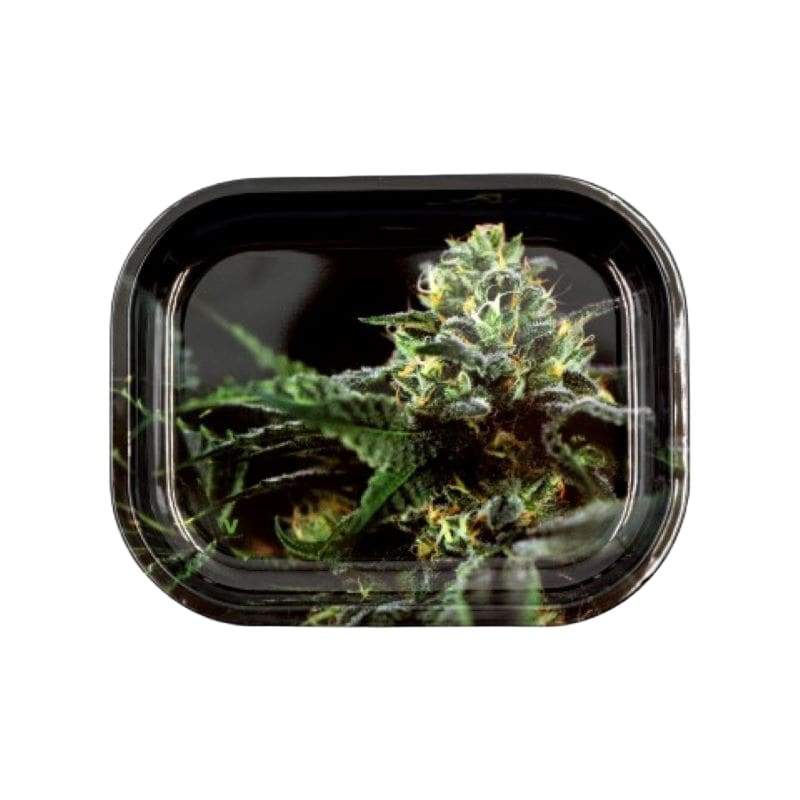Tabuleiro S "Strain O.G. Kush" em metal com 180x140x16mm